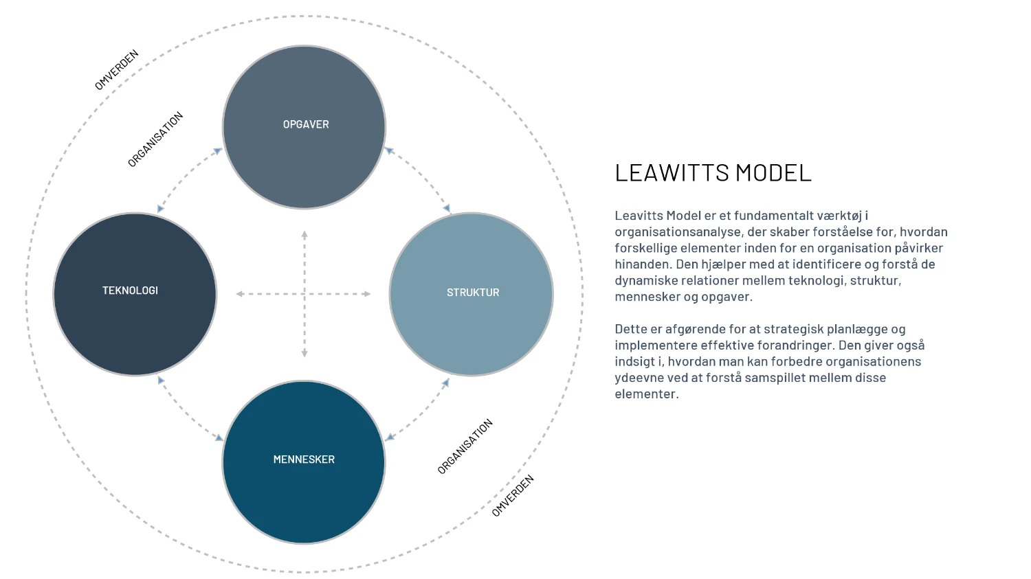 Leawitts model